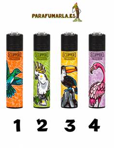 Clipper Pájaro Paraiso
