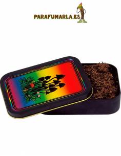 Caja metal "Setas mágicas"