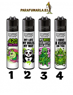Clipper 420 World