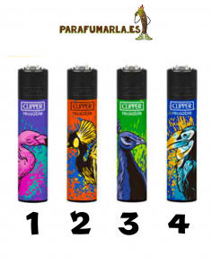 Clipper aves pintadas
