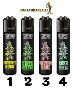 Clipper Plantas 6