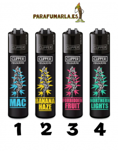 Clipper Plantas 7