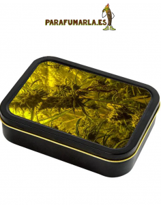 Caja metal planta