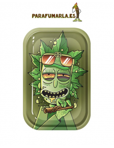 Bandeja Rick y Morty 27x17cm