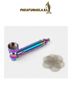 Pipa Rainbow Bulldog Amsterdam