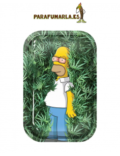Bandeja Bart Simpson arbusto