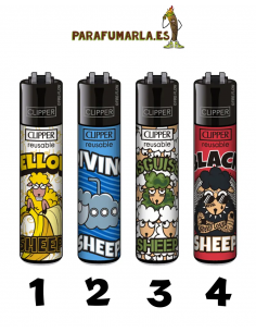 Clipper Sheep