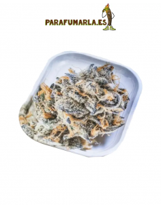 Bandeja Girl Scout Cookies