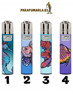 Clipper Under The Sea