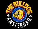 Papel Bulldog Amsterdam