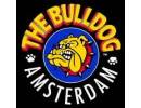 Bulldog Amsterdam